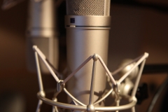 Microfoon Hallround Studios