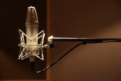Microfoon Hallround Studios